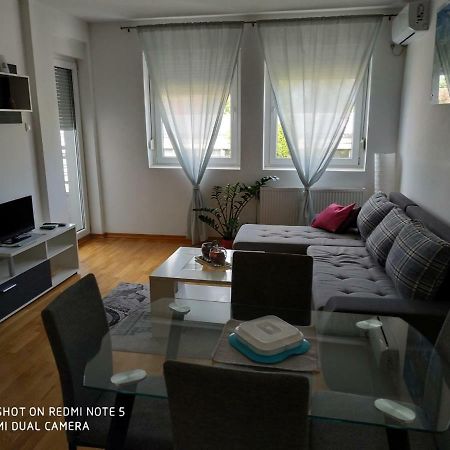 Apartment Jelena Zrenjanin Zewnętrze zdjęcie